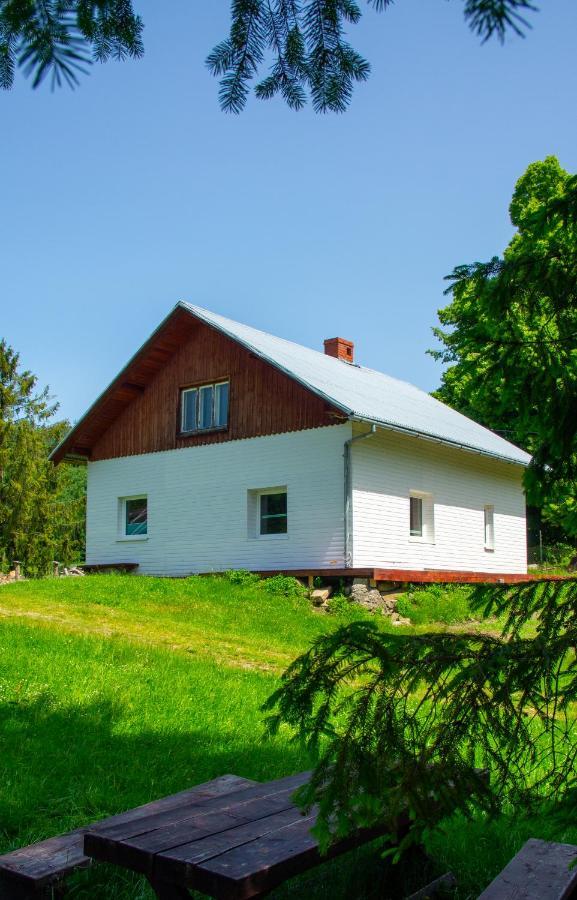 Domek W Gorach Na Wylacznosc Zlatna Exterior photo